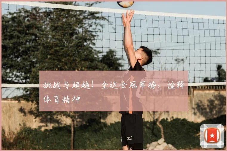 挑战与超越！全运会冠军榜，诠释体育精神
